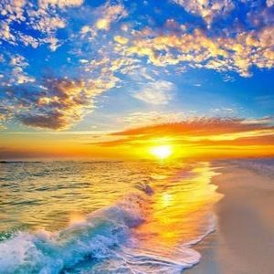 Meet your Posher, Anny